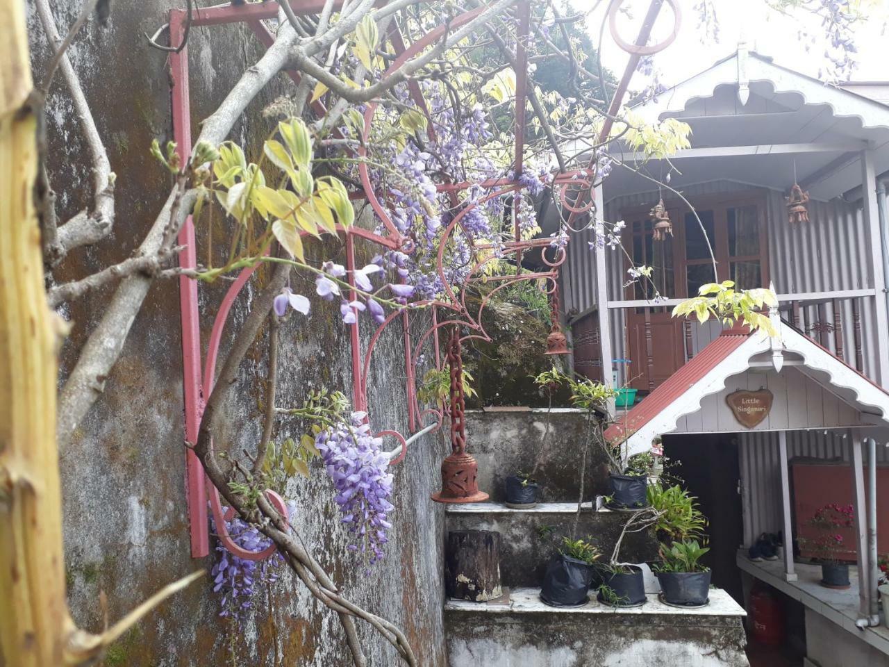 دارجيلنغ Little Singamari Home Stay المظهر الخارجي الصورة
