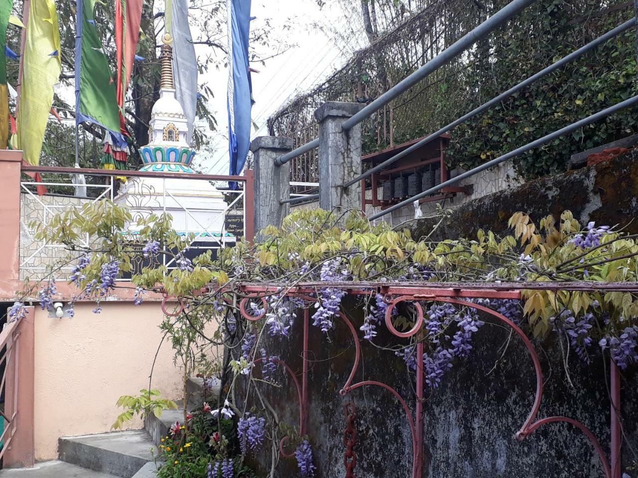 دارجيلنغ Little Singamari Home Stay المظهر الخارجي الصورة