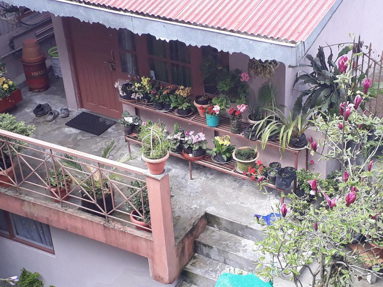 دارجيلنغ Little Singamari Home Stay المظهر الخارجي الصورة